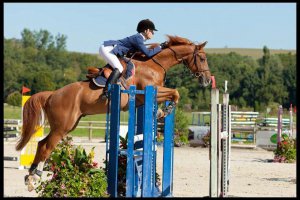 Concours de sauts d'obstacles Concours de sauts d'obstacles