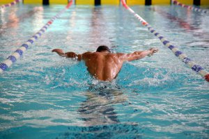 Championnats des Vosges de Natation Championnats des Vosges de Natation